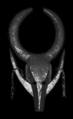 Bienvenue / Welcome ...